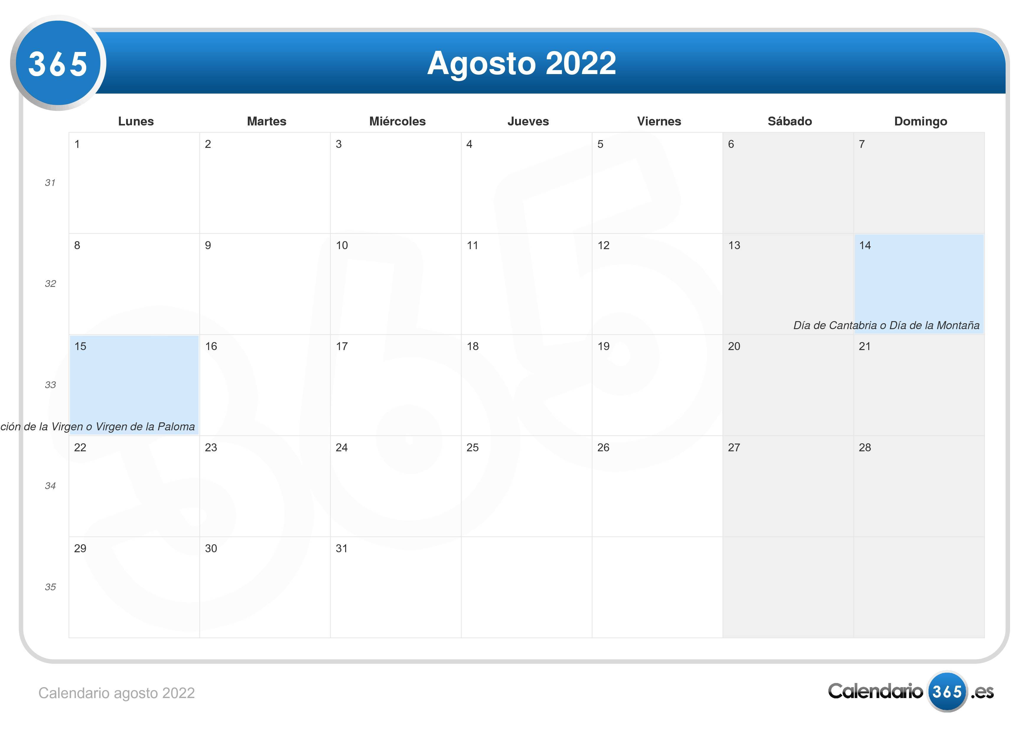 Tratamiento Limpiar el piso Antagonista Calendario agosto 2022